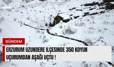 Erzurum Uzundere İlçesinde 350 Koyun  uçurumdan uçtu !