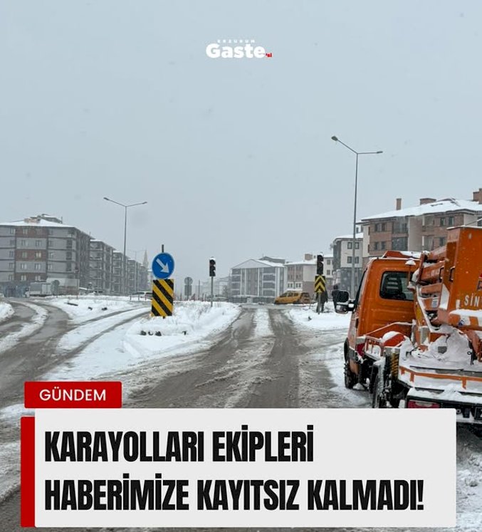 TIR Sürücüsünden Trafik Işıkları Tepkisi, Karayolları Ekiplerinden Hızlı Çözüm!