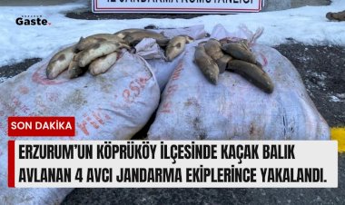 Erzurum’un Köprüköy ilçesinde kaçak balık avlanan 4 avcı jandarma ekiplerince yakalandı.