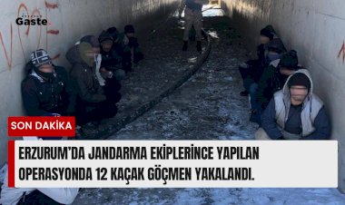 Erzurum’da Jandarma ekiplerince yapılan operasyonda 12 kaçak göçmen yakalandı.