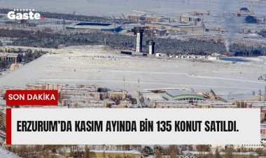 Erzurum’da Kasım ayında bin 135 konut satıldı.
