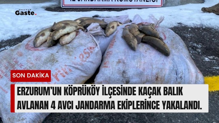 Erzurum’un Köprüköy ilçesinde kaçak balık avlanan 4 avcı jandarma ekiplerince yakalandı.